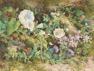 John Jessop Hardwick - Flower Study.webp