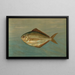 Le dollar-fisk eller smør-fisk, Rhombus triacanthus - John L.. Petrie — indrammet kunstværk på væggen