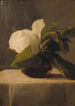 Magnolia - John La Farge — visning af kunstværket