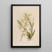 Sertum orchidaceum En krone af de smukkeste orkidéblomster Pl07 - John Lindley — indrammet kunstværk på væggen