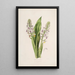 Sertum orchidaceum En krone af de smukkeste orkidéblomster Pl42 - John Lindley — indrammet kunstværk på væggen