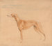 Le chien de chasse Thomasine - John Linnell — visning af kunstværket