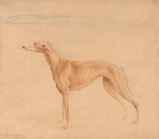 Le chien de chasse Thomasine - John Linnell — visning af kunstværket