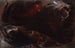 Le Déluge - John Martin — visning af kunstværket
