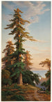 Sequoias Santa Cruz Mts Cal - John Ross Key — visning af kunstværket