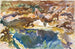 Mand og swimmingpool, Florida - John Singer Sargent — visning af kunstværket