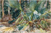 Palmiers - John Singer Sargent — visning af kunstværket
