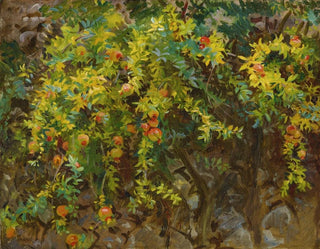 Grenades à Majorque - John Singer Sargent — visning af kunstværket