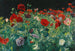 Poppelliljer - John Singer Sargent — visning af kunstværket