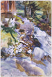 Ruisseau impétueux - John Singer Sargent — visning af kunstværket
