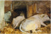 Tre okser - John Singer Sargent — visning af kunstværket