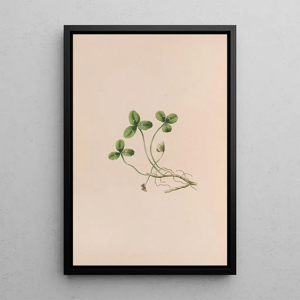 John Stevens Henslow - Lily Of The Valley.webp