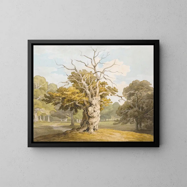 Un eg træ ved Kedleston Hall, Derbyshire - John White Abbott — indrammet kunstværk på væggen