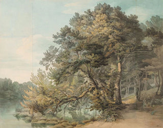 Peamore Devon - John White Abbott — visning af kunstværket