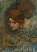 Studie til Venus' hoved i Adonis' Vågneri - John William Waterhouse — visning af kunstværket