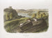 et hvidbenet mus-maleri i naturlig størrelse Han, hun og unge - John Woodhouse Audubon — visning af kunstværket