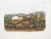 Hudsonbugens Lemming i naturlig størrelse - John Woodhouse Audubon — visning af kunstværket
