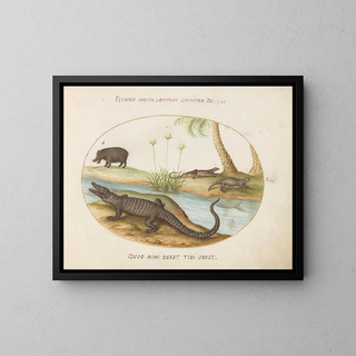 Joris Hoefnagel - A Crocodile a Hippopotomus a Land Crocodile or Tegu Lizard and a Crocodile or SpinyTailed Lizard with a Papyrus Plant.webp
