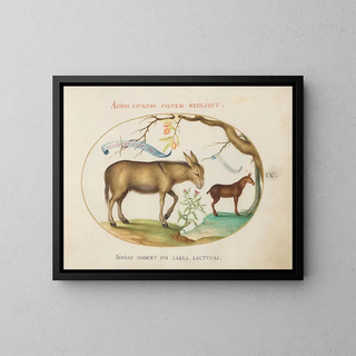 Joris Hoefnagel - A Donkey and a Mule.webp
