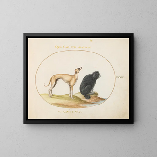 Joris Hoefnagel - A Hound and a Water Spaniel.webp