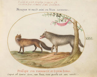 Joris Hoefnagel - A Red Fox and a Wolf.webp