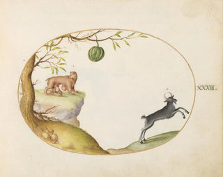 Joris Hoefnagel - A Simivulpa Opossum and an Ibex.webp