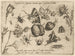 Archétypes et études du père Georgius Hoefnagel Pl28 - Joris Hoefnagel — visning af kunstværket