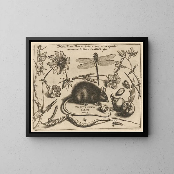 Archétypes et études du père Georgius Hoefnagel - Joris Hoefnagel | Reproduction — indrammet kunstværk på væggen