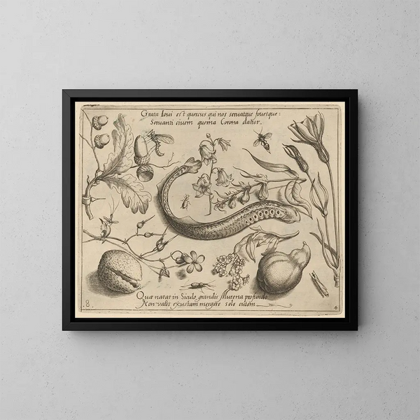 Archétypes et études du père Georgius Hoefnagel - Joris Hoefnagel | Reproduction — indrammet kunstværk på væggen