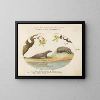 Joris Hoefnagel - Mongoose and Badger with Fruit Trees.webp