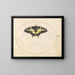 Planche 07 Papillon hale af swallowtail - Joris Hoefnagel — indrammet kunstværk på væggen