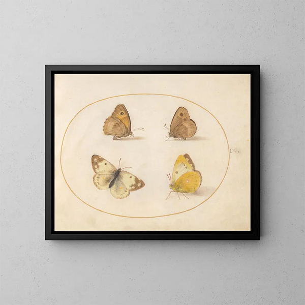 Plaque 09 Papillons Meadow Brown, Gatekeeper, Clouded Yellow og Bath White - Joris Hoefnagel — indrammet kunstværk på væggen