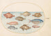 Planche 18 Poisson-cochon, poisson-rasoir, poisson-beurre, en Saint-Pierre og andre fisk - Joris Hoefnagel — visning af kunstværket