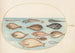 Planche 33 Sole og andre fladfisk med fiskebånd - Joris Hoefnagel — visning af kunstværket