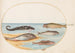 Planche 36 Cinq poissons dont une carpe - Joris Hoefnagel — visning af kunstværket