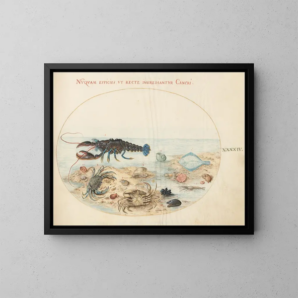 Platine 44 Homard, to krabber, muslingeskaller og andre marine livsformer - Joris Hoefnagel — indrammet kunstværk på væggen