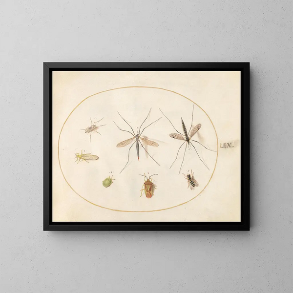 Platine 59 Sept insekter, herunder en insekt-skjold af hyld, græshoppefluer og en blomsterflue - Joris Hoefnagel — indrammet kunstværk på væggen