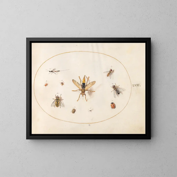 Platine 62 Dix insekter - Joris Hoefnagel — indrammet kunstværk på væggen