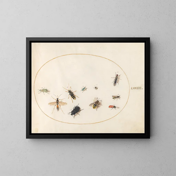 Platine 73 Ti insekter - Joris Hoefnagel — indrammet kunstværk på væggen