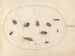 Platine 79 Tolv insekter, herunder væggelus - Joris Hoefnagel — visning af kunstværket