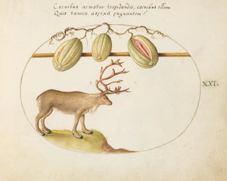 Joris Hoefnagel - Reindeer with Melons.webp