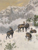 Gämse en hiver - Josef Schmitzberger — visning af kunstværket