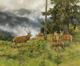 Josef Schmitzberger - Rotwild im Morgennebel.webp