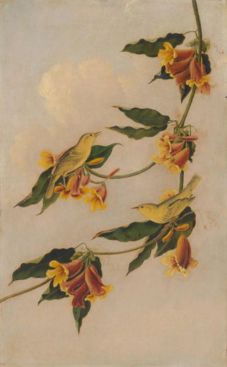 Joseph Bartholomew Kidd - Yellow Warbler.webp