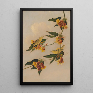 Joseph Bartholomew Kidd - Yellow Warbler.webp