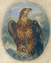 Adler - Joseph Hasslwander — visning af kunstværket