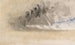 Le Carnet de Croquis de la Manche 35 - Joseph Mallord William Turner — visning af kunstværket