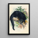 Le Binturong - Joseph Wolf — indrammet kunstværk på væggen