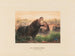 L'Hippopotame - Joseph Wolf — visning af kunstværket