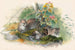 Le chat Wagati - Joseph Wolf — visning af kunstværket